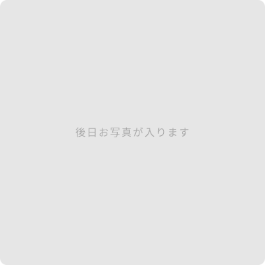 代表取締役　井口 智史